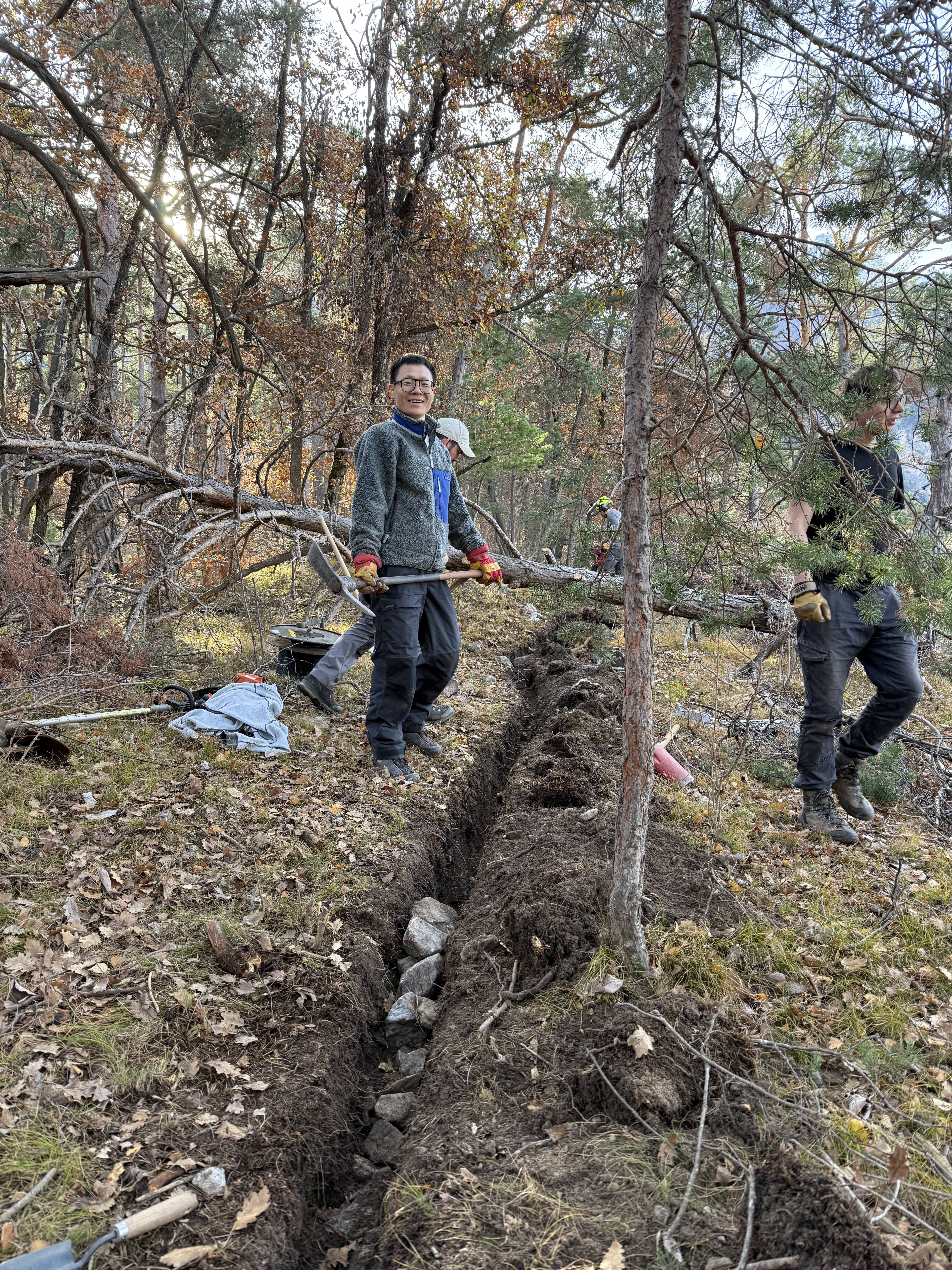 Coseismic landslides