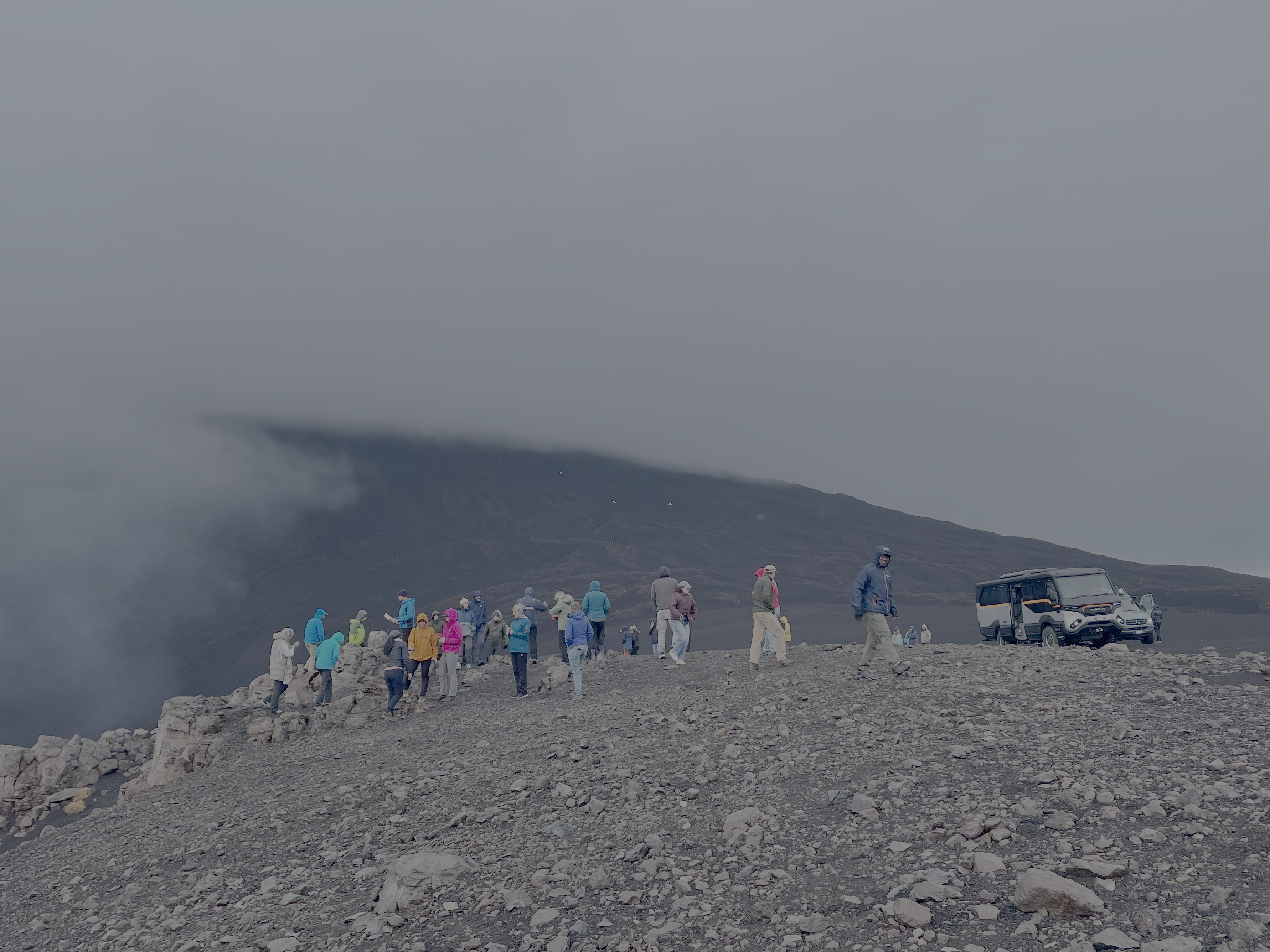 Coseismic landslides